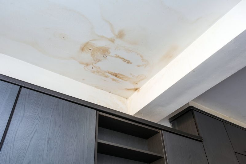 Leaking Ceiling Repair in Denver County, CO